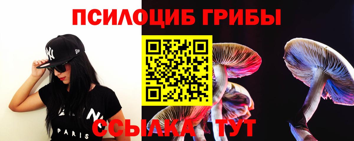 Тихорецк  Псилоцибиновые грибы ЛСД  Вход с VPN 